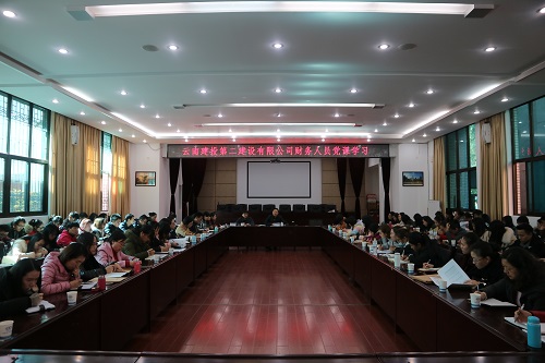 公司舉行財(cái)務(wù)人員黨課學(xué)習(xí)暨財(cái)務(wù)業(yè)務(wù)會(huì)