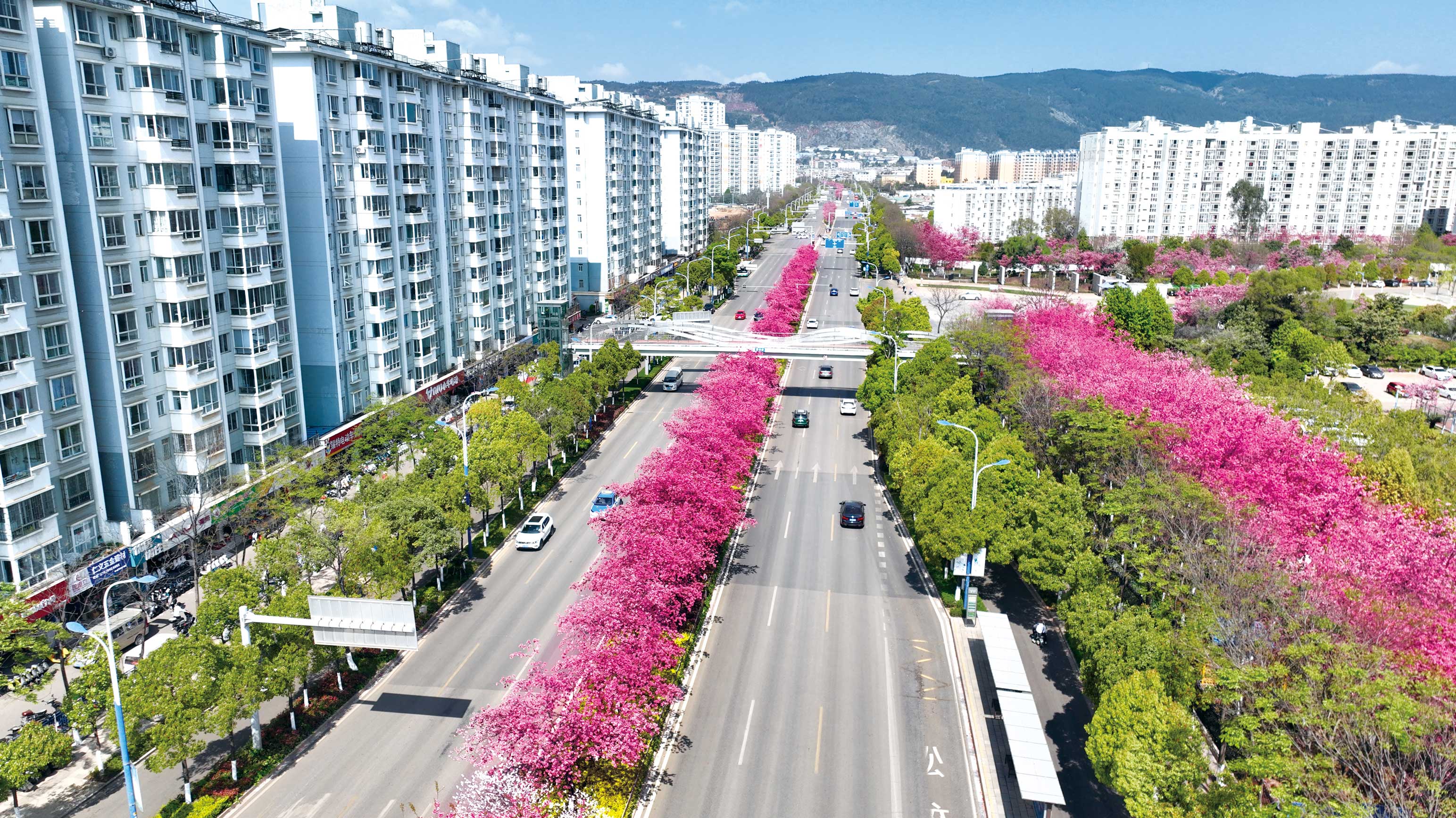 全國市政金杯-昆明市灃源路（7204道路）改擴(kuò)建工程